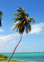 Bahia Honda State Park Florida USA 44